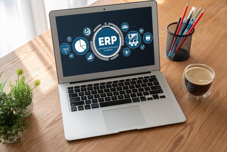 How-Does-ERP-Software-Work